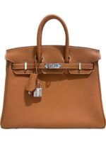Hermès Pre-Owned 2025 gold Birkin 25 Togo palladium hardware handbag