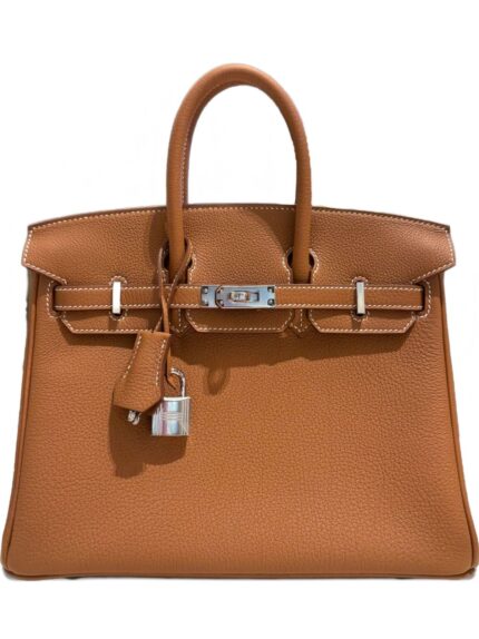 Hermès Pre-Owned 2025 gold Birkin 25 Togo palladium hardware handbag