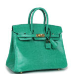 Hermès Birkin 25 Menthe Varanus Niloticus Lizard Gold Hardware