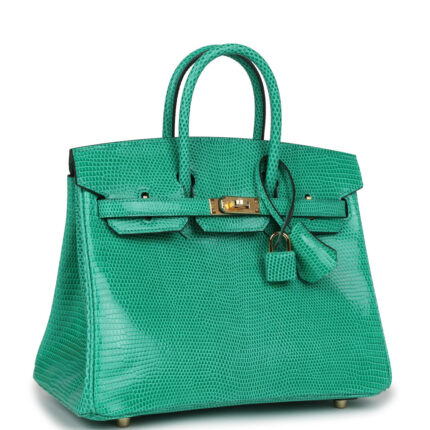 Hermès Birkin 25 Menthe Varanus Niloticus Lizard Gold Hardware