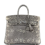 Hermès Birkin 25 Ombre Varanus Salvator Lizard Palladium Hardware