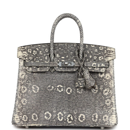 Hermès Birkin 25 Ombre Varanus Salvator Lizard Palladium Hardware
