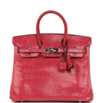 Vintage Hermès Birkin 25 Fuchsia Varanus Niloticus Lizard Palladium Hardware