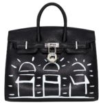 Hermès 20cm Birkin Sellier Disco Chèvre Leather Palladium Hardware
