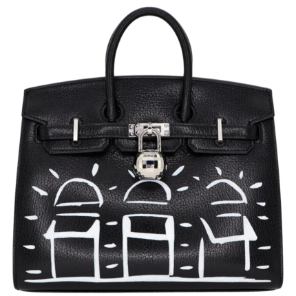 Hermès 20cm Birkin Sellier Disco Chèvre Leather Palladium Hardware