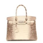 Matte Niloticus Crocodile Himalaya Birkin 30 Blanc