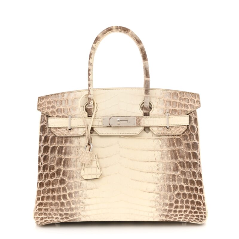 Matte Niloticus Crocodile Himalaya Birkin 30 Blanc