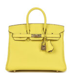 Hermès Special Order (HSS) Birkin 25 Lime Verso Clemence Permabrass Hardware
