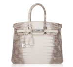 Hermes Birkin 35 Diamond Blanc Himalaya Matte Crocodile Limited Edition Bag