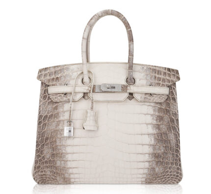 Hermes Birkin 35 Diamond Blanc Himalaya Matte Crocodile Limited Edition Bag