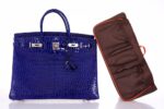 Baginizer - Large