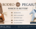 Rodeo vs Pegasus Charm
