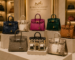 Rare Birkin Bags